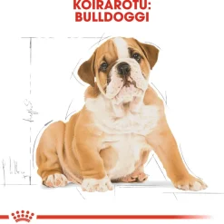 Royal Canin Bulldog Puppy 12 kg