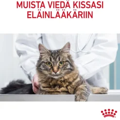 Royal Canin Cat Light Weight Care Jelly, 12 x 85 g