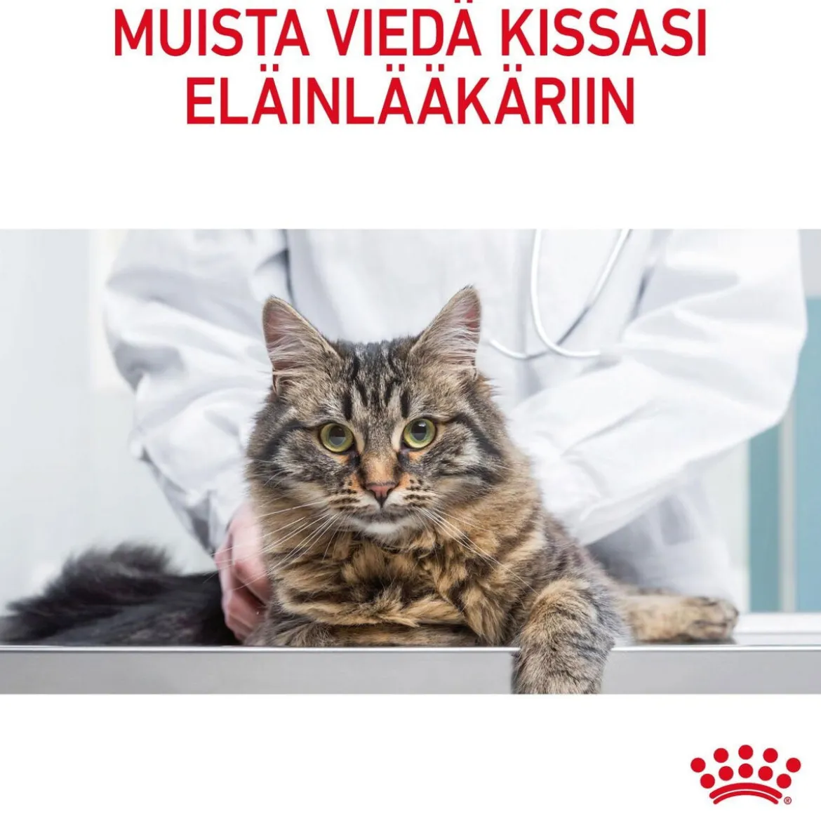 Royal Canin Cat Light Weight Care Jelly, 12 x 85 g