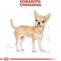 Royal Canin Chihuahua Adult