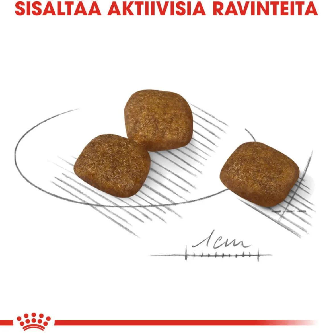 Royal Canin Coat Care Mini