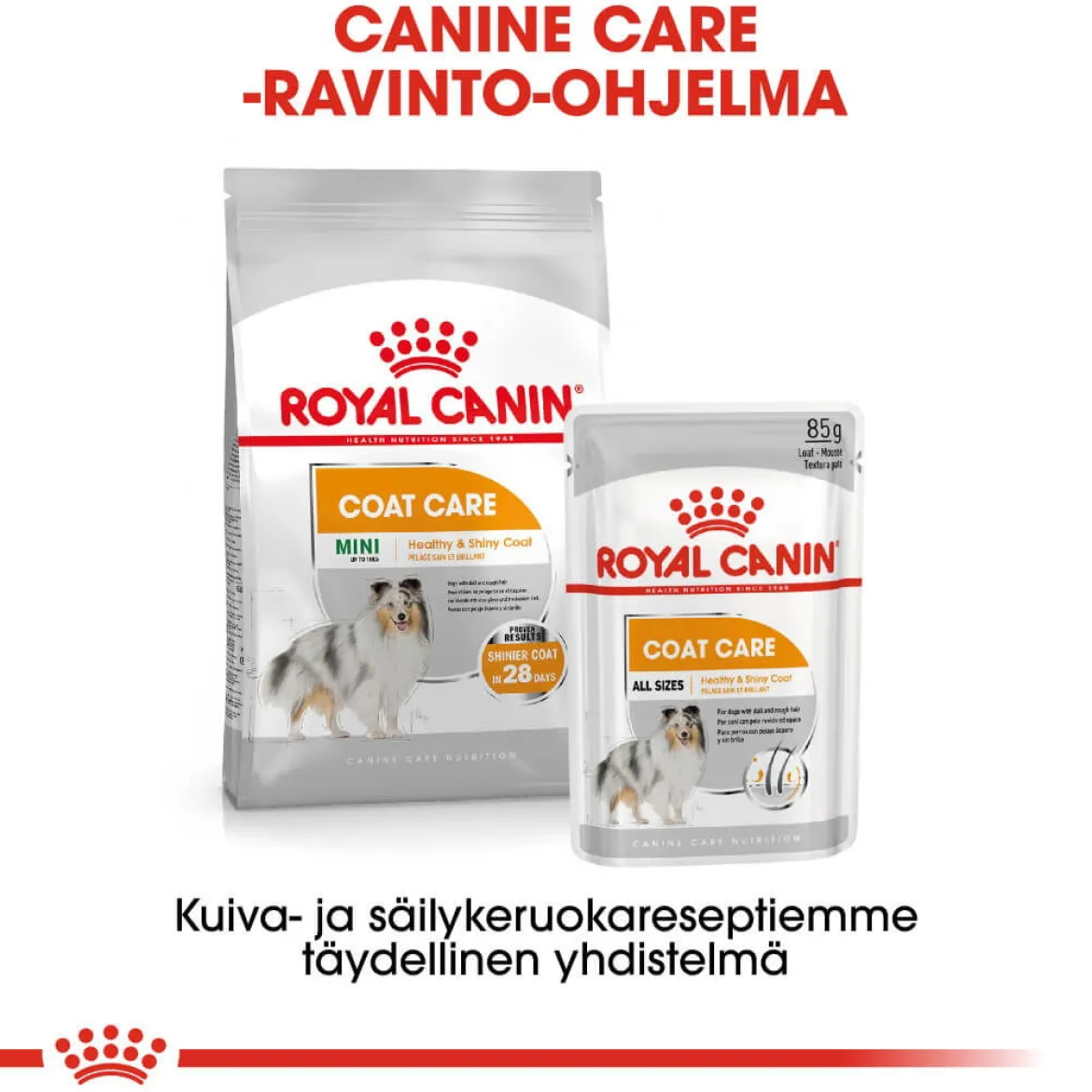 Royal Canin Coat Care Mini