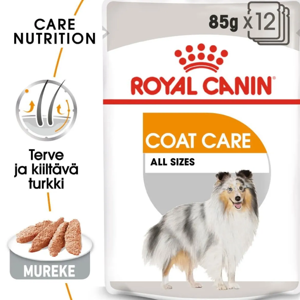 Royal Canin Coat Care wet 12 x 85 g