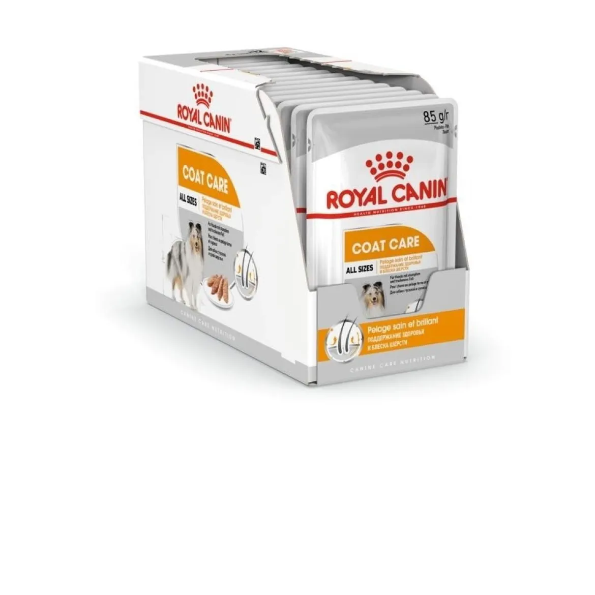 Royal Canin Coat Care wet 12 x 85 g