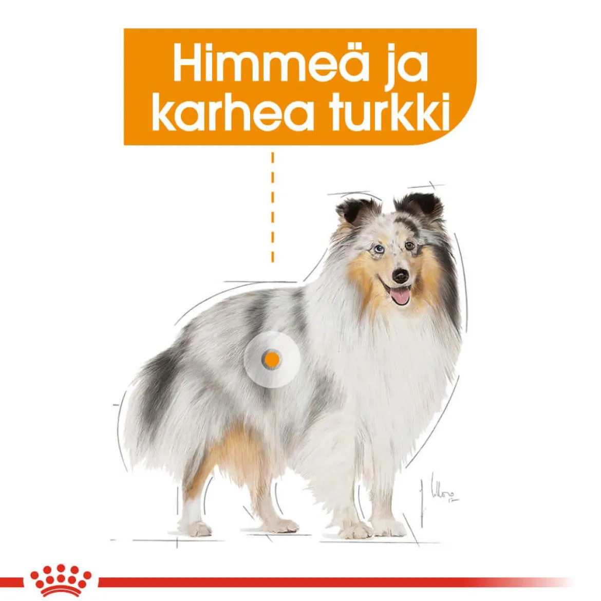 Royal Canin Coat Care wet 12 x 85 g