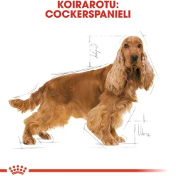 Royal Canin Cocker Adult