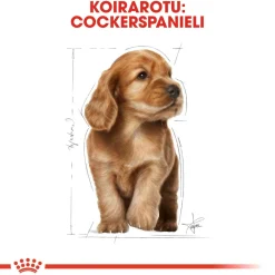 Royal Canin Cocker Puppy 3 kg