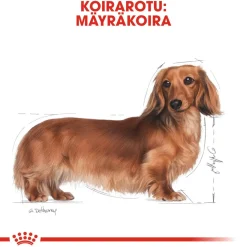 Royal Canin Dachshund Adult