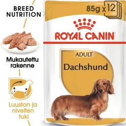 Royal Canin Dachshund Wet 12 x 85 g