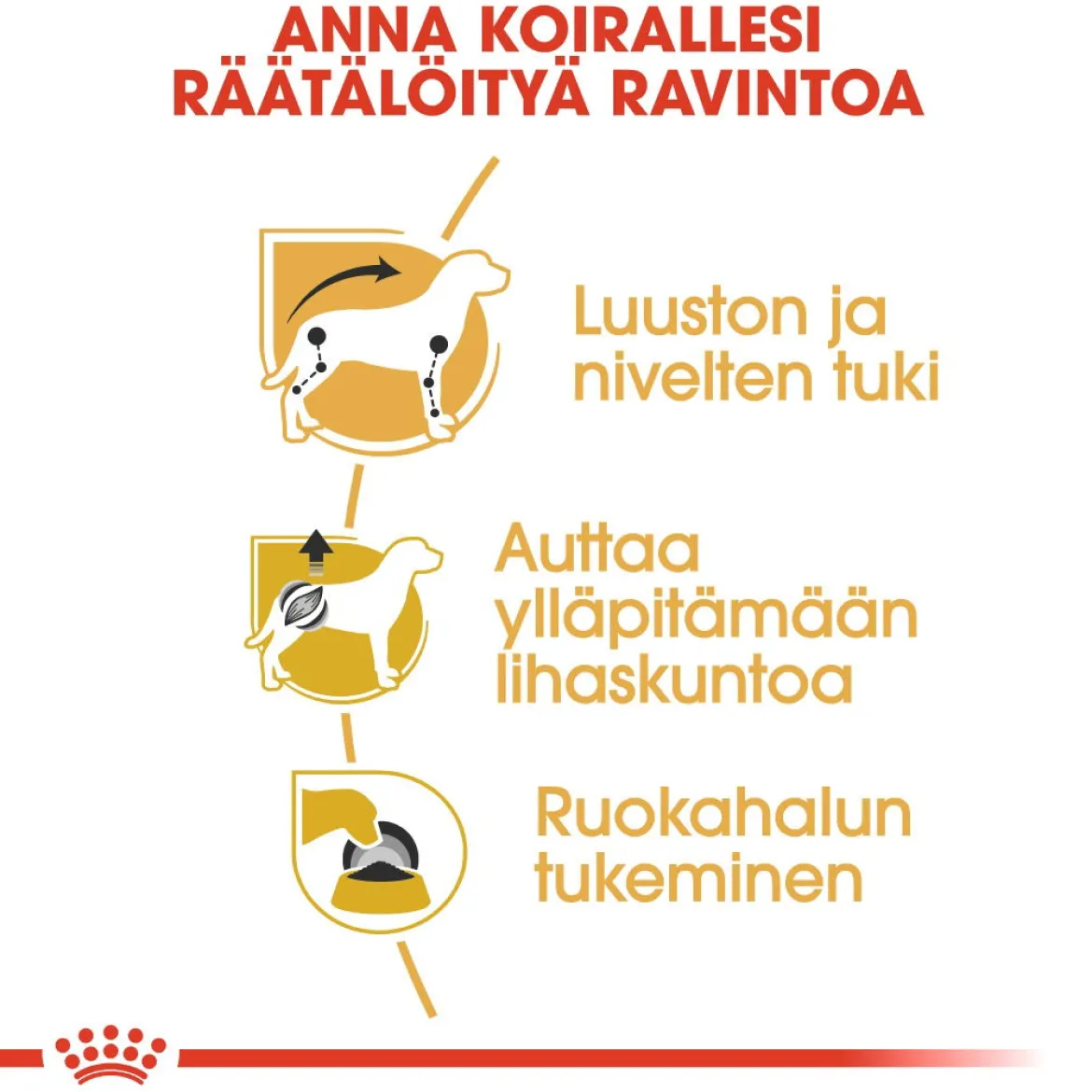 Royal Canin Dachshund Wet 12 x 85 g