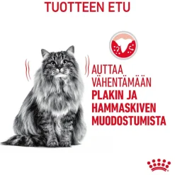 Royal Canin Dental Care