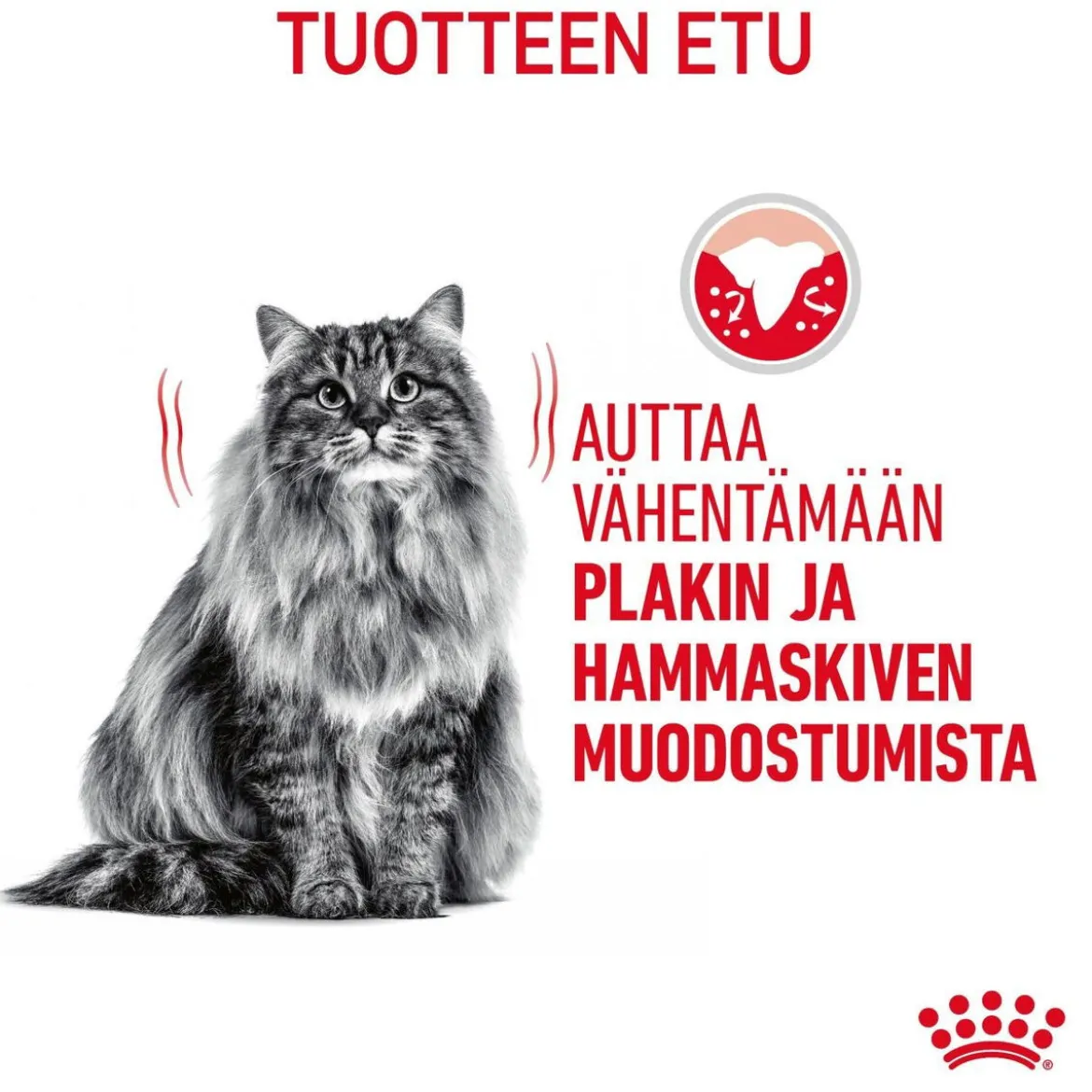 Royal Canin Dental Care