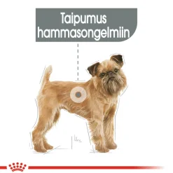 Royal Canin Dental Care Mini