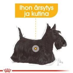 Royal Canin Dermacomfort wet 12 x 85 g