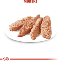 Royal Canin Dermacomfort wet 12 x 85 g