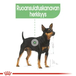 Royal Canin Digestive Care wet 12 x 85 g
