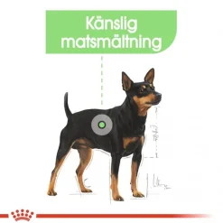 Royal Canin Digestive Care wet 48x85 g