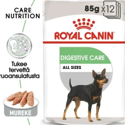 Royal Canin Digestive Care wet 48x85 g