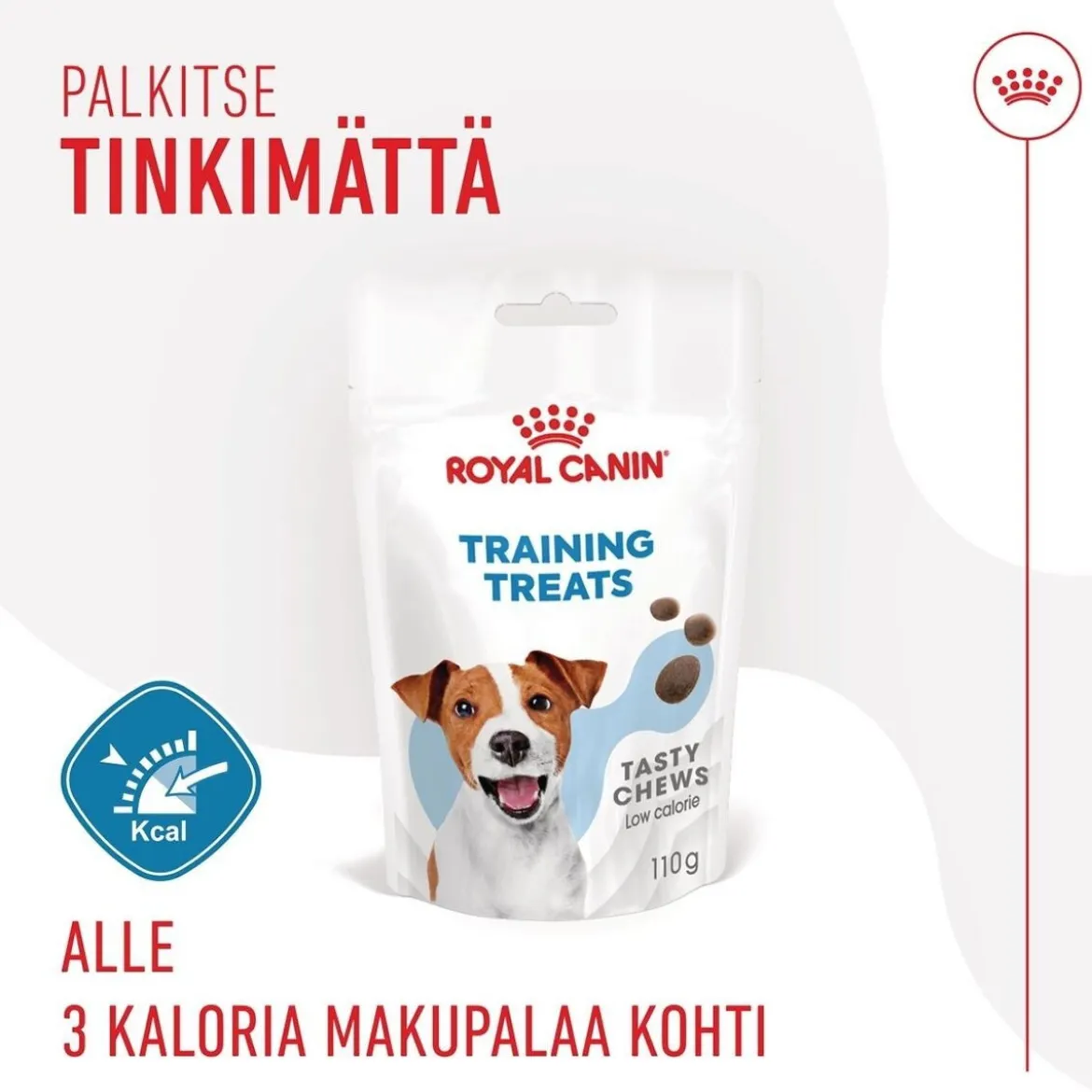 Royal Canin Dog Training Treats 110g