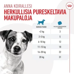 Royal Canin Dog Training Treats 110g