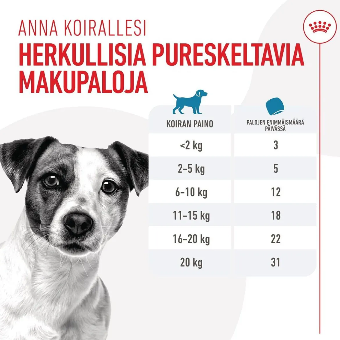 Royal Canin Dog Training Treats 110g