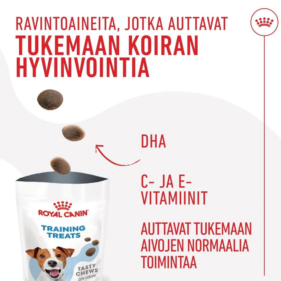 Royal Canin Dog Training Treats 110g
