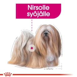 Royal Canin Exigent wet 12 x 85 g