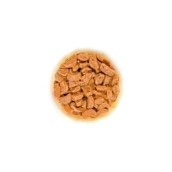 Royal Canin FHN Ageing 11+ kastikeessa 12 x 85 g