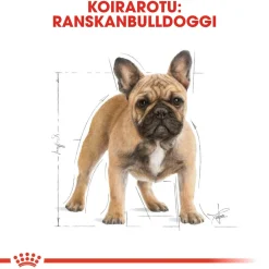 Royal Canin French Bulldog Adult