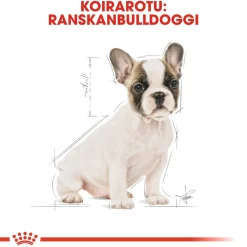 Royal Canin French Bulldog Puppy