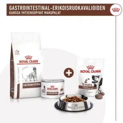 Royal Canin Gastrointestinal Treats 230 g