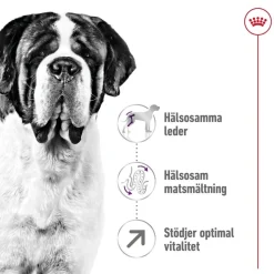 Royal Canin Giant Adult 2 x 15kg