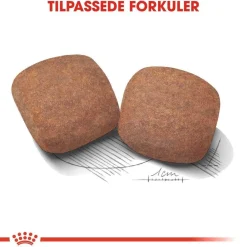 Royal Canin Giant Adult 2 x 15kg