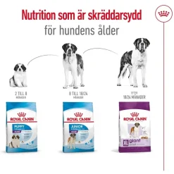 Royal Canin Giant Adult 2 x 15kg