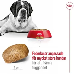 Royal Canin Giant Adult 2 x 15kg