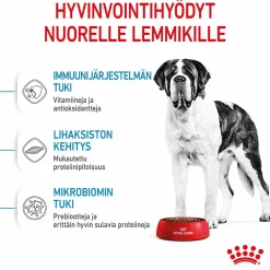 Royal Canin Giant Junior 15 kg