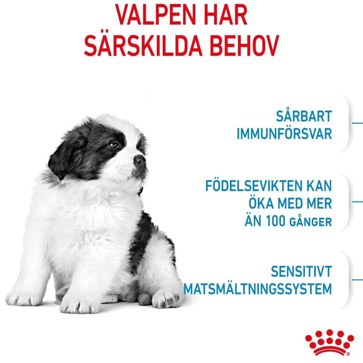 Royal Canin Giant Puppy 2 x 15kg
