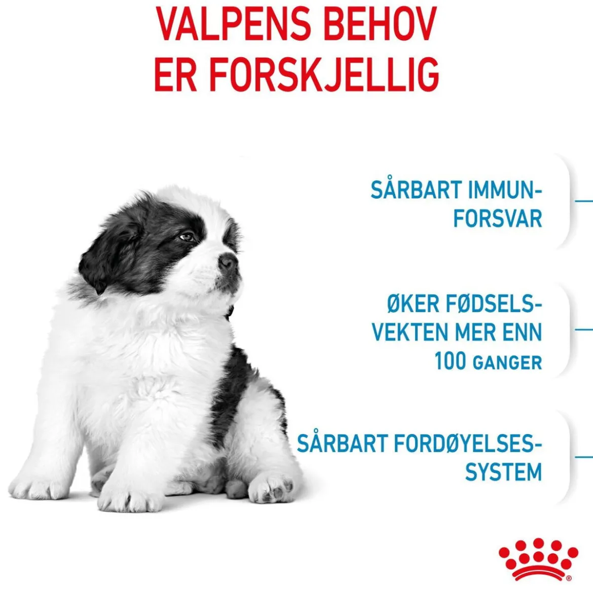 Royal Canin Giant Puppy 2 x 15kg