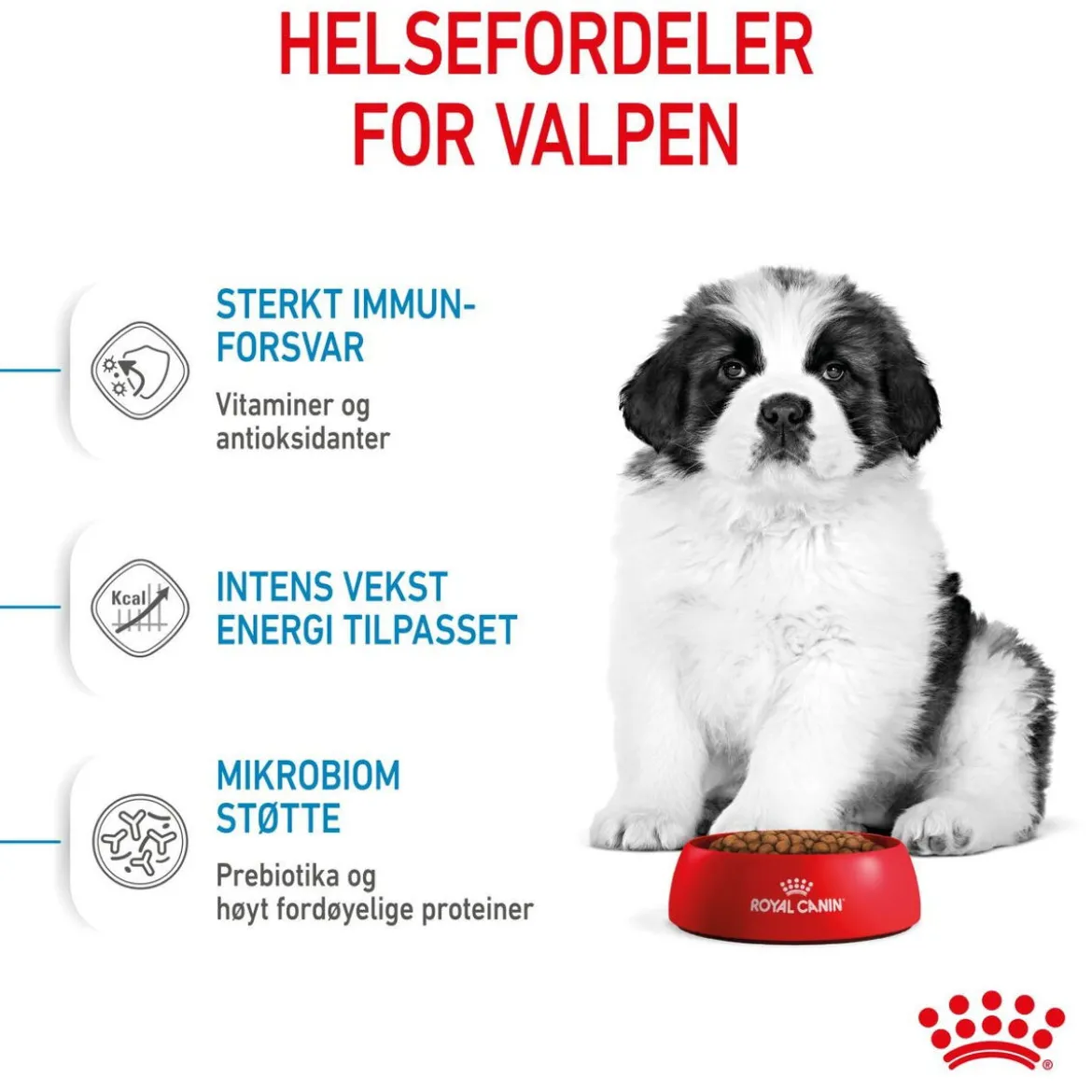 Royal Canin Giant Puppy 2 x 15kg