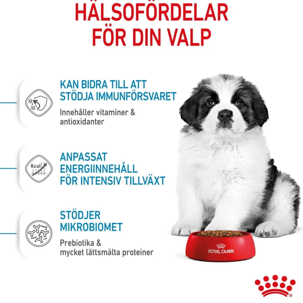 Royal Canin Giant Puppy 2 x 15kg