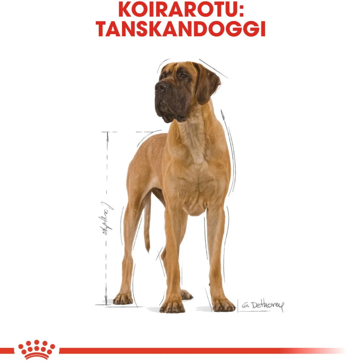 Royal Canin Great Dane Adult 12 kg