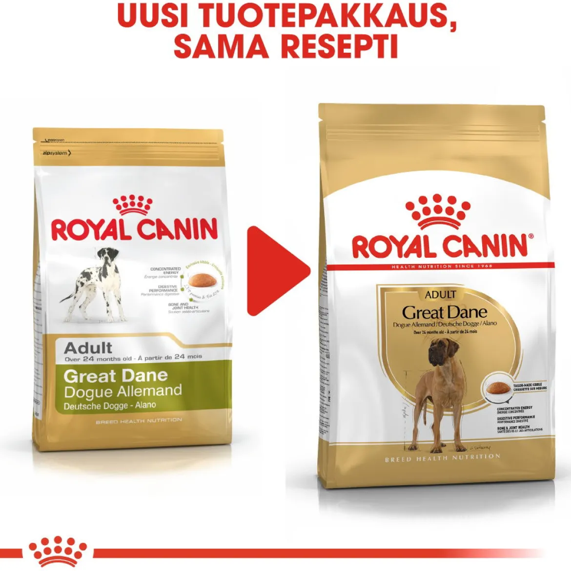 Royal Canin Great Dane Adult 12 kg