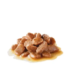 Royal Canin Hairball Care Gravy 85g, 48-pack