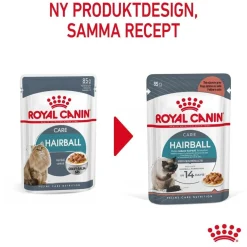 Royal Canin Hairball Care Gravy 85g, 48-pack