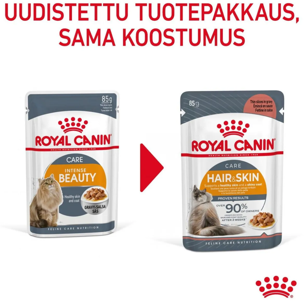 Royal Canin Hair & Skin Care Gravy, 12x85g