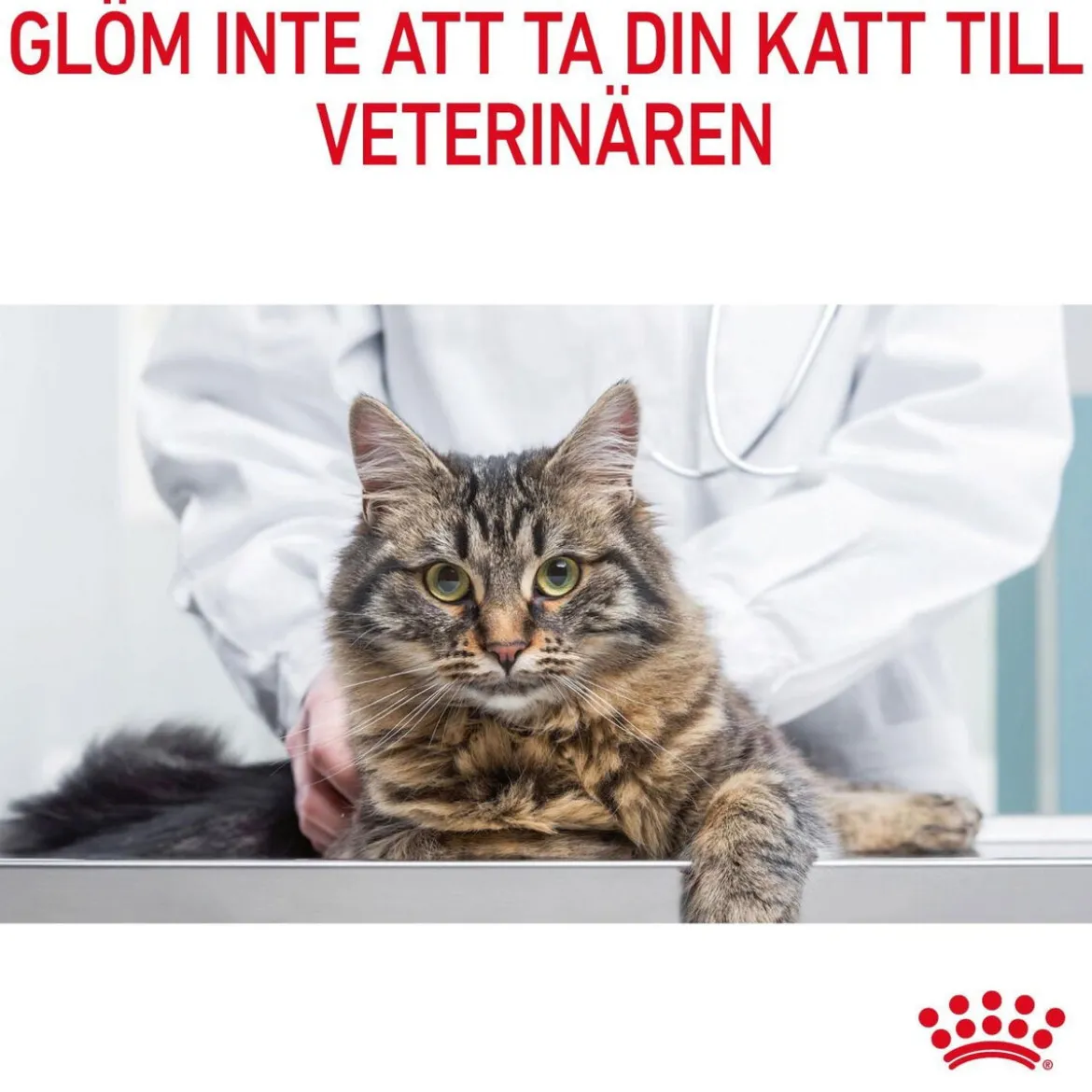 Royal Canin Hair & Skin Care Gravy 85g, 48-pack