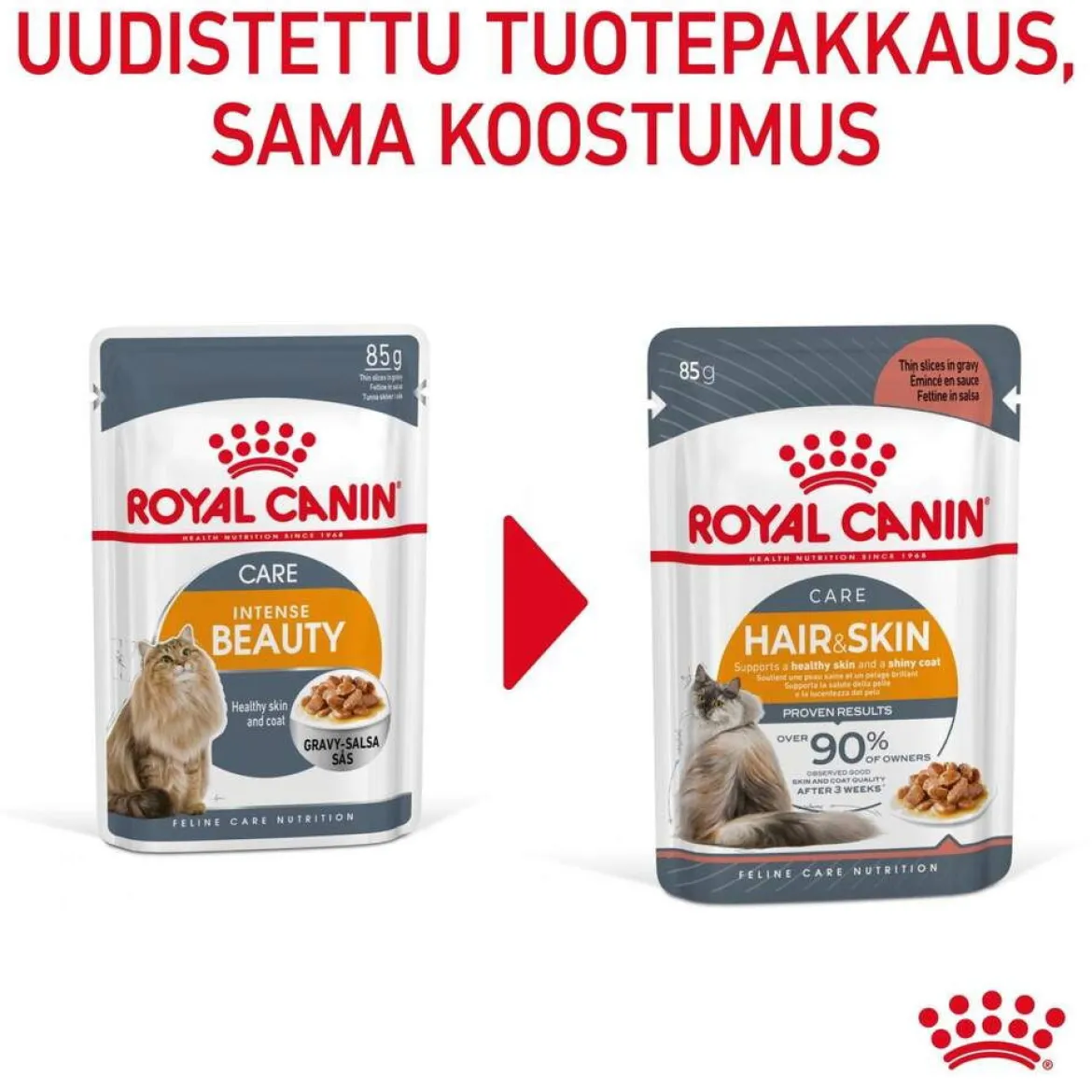 Royal Canin Hair & Skin Care Gravy 85g, 48-pack