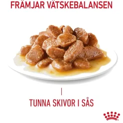 Royal Canin Hair & Skin Care Gravy 85g, 48-pack