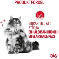 Royal Canin Hair & Skin Care Gravy 85g, 48-pack