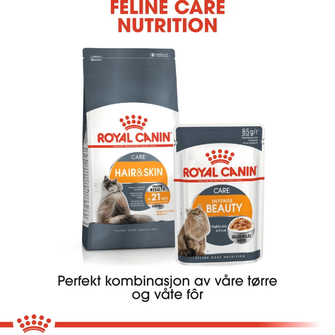 Royal Canin Hair & Skin Care Jelly 85g, 48-pack